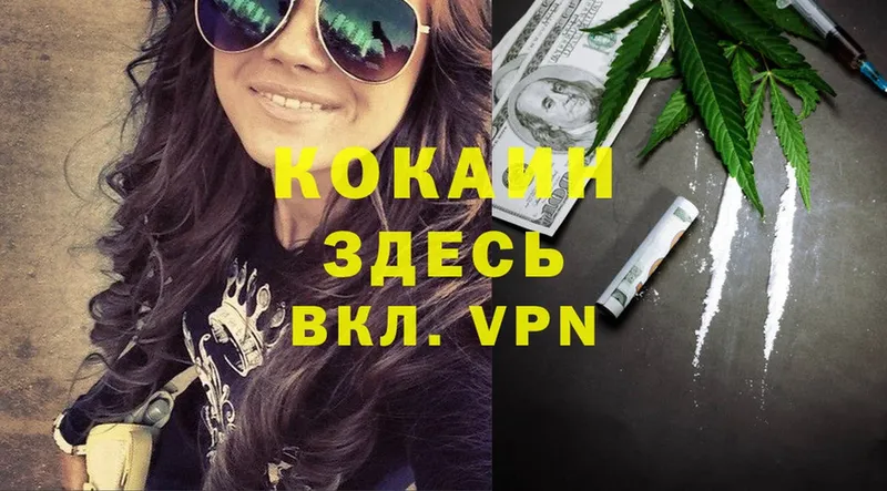 Cocaine Эквадор  как найти закладки  Махачкала 