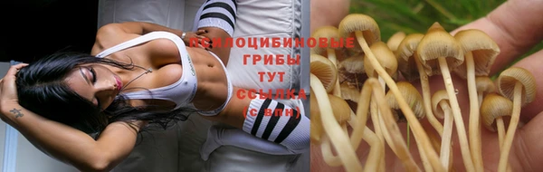 экстази Михайлов