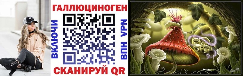 Псилоцибиновые грибы Cubensis  Махачкала 