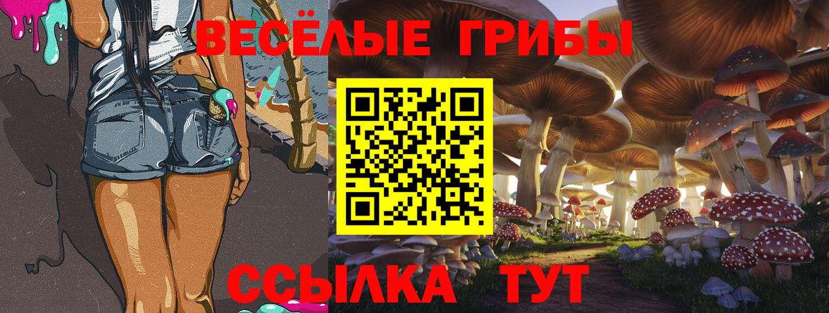 где можно купить   Псилоцибиновые грибы ЛСД  Вход с VPN  Махачкала  Галлюциногенные грибы мицелий 